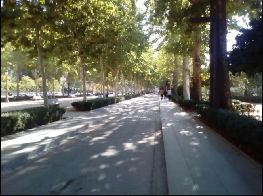 格拉纳达Hogar Del Lirio公寓 外观 照片